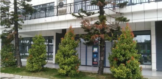 石家莊學機器人技術應用該去哪？