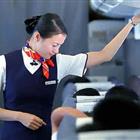 航空服務（票務、安檢方向）、航空乘務定向委培